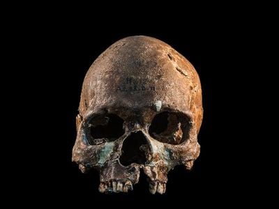 An 8,000-year-old skull found in Gua Cha, Malaysia, provided DNA used in the study