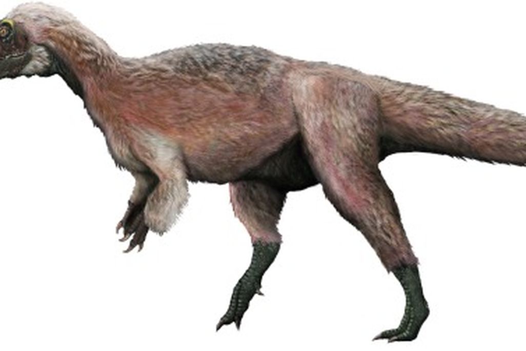 20120427125015yutyrannus-thumb.jpg