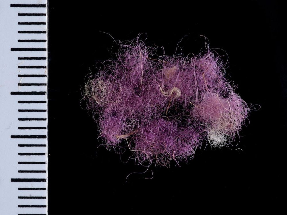 Royal Purple' Fabric Dated to Time of Biblical King David Found in