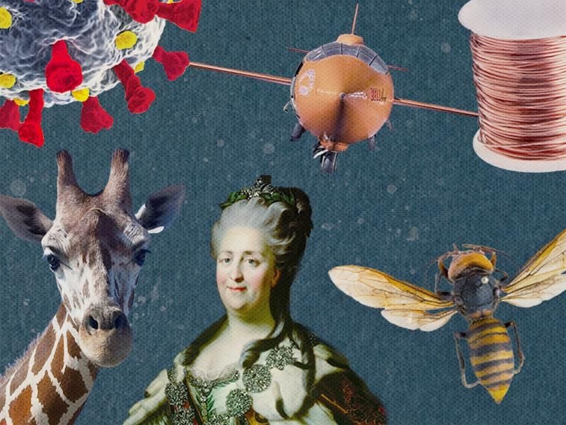 Top ten Smithsonian stories of 2020 illustration (social)