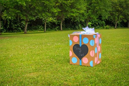 Some parents cut a cake, while others release pink or blue balloons from a box.