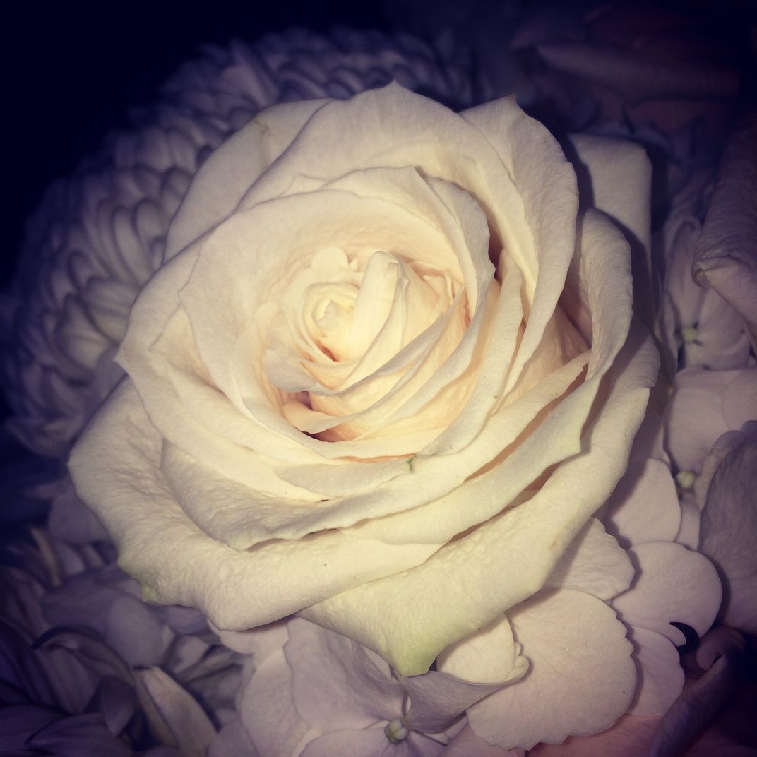 They say white symbolizes virginity. By virginity I mean pure. This