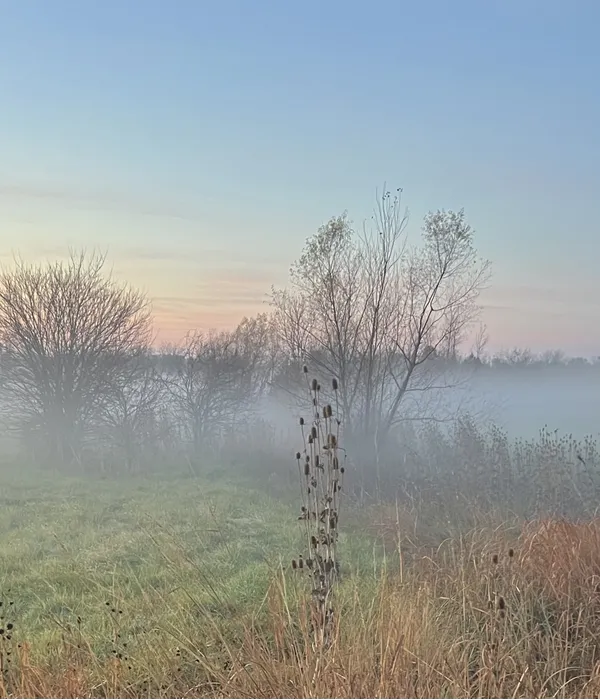 Rolling fog thumbnail