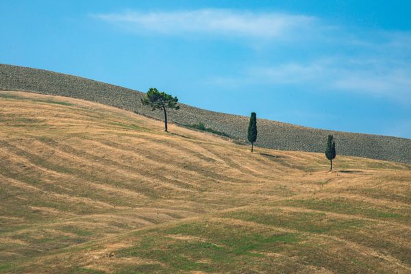 Silence [this is not a painting, this is Val d'Orcia] thumbnail