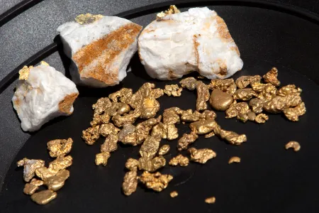 Interest in gold prospecting is growing across the country as the value of gold rises.