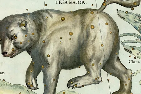 This celestial chart from 1687 is one of many illustrations from books, charts, and maps showing artists’ imaginings of polar bears.