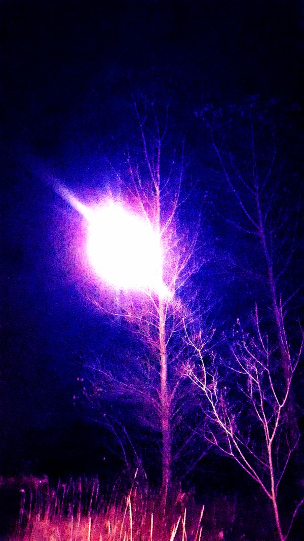 Golden Night thumbnail