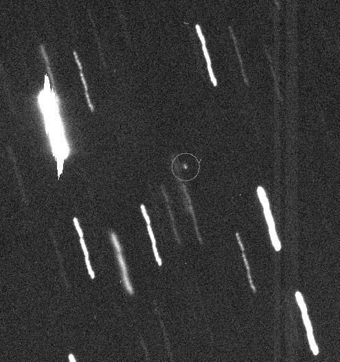 Apophis is the little dot in the circle.