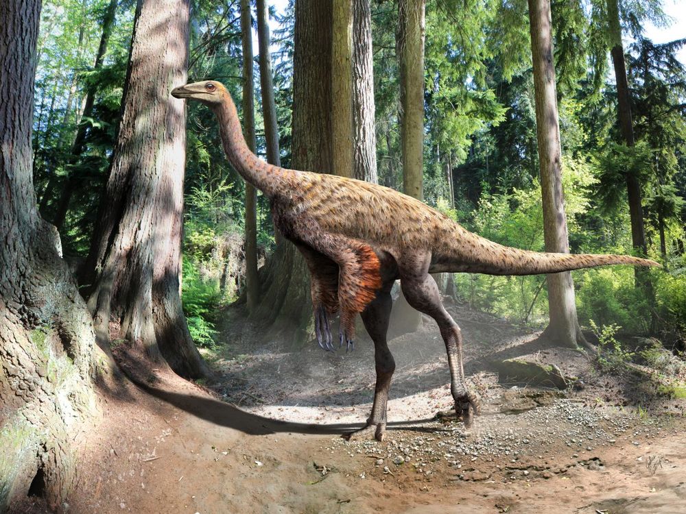 Ostrich dino