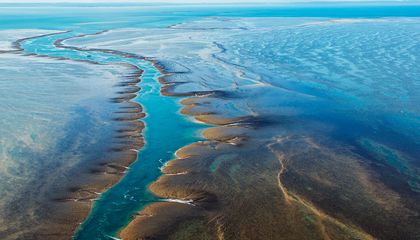 Australia's 'ghost reef': Montgomery Reef surfaces and vanishes every three hours