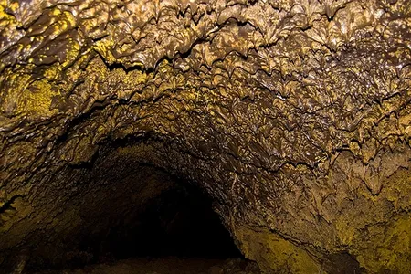 The hydrophobic bacteria that coat the ceilings of some dark lava caves produce a gorgeous golden sparkle.
