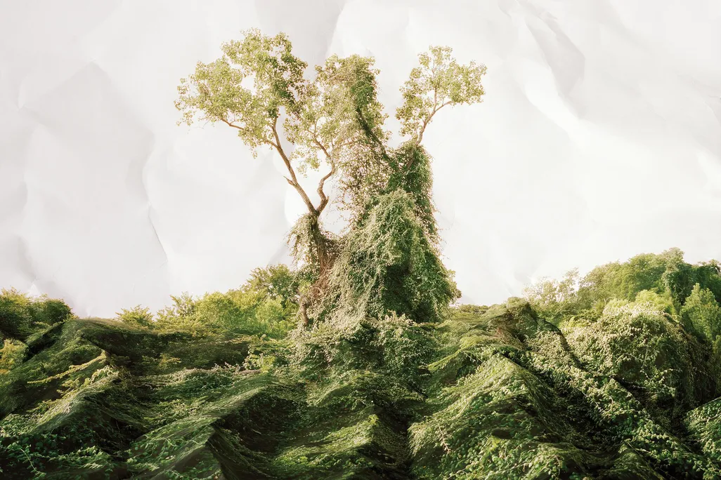 SEP2015_A01_Kudzu.jpg