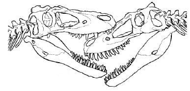 20110520083155jane-tyrannosaur-face-bite.jpg