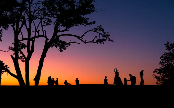 shades of life under the tree thumbnail