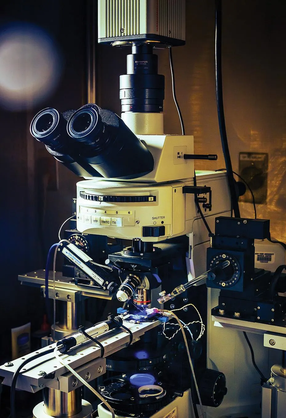 A digital microscope at NYU