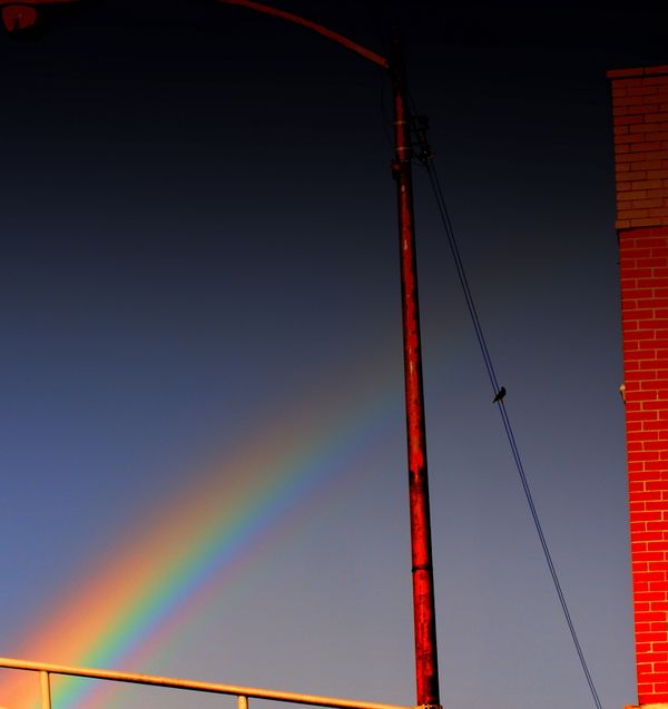 Rainbow over Chicago Il 2008 thumbnail