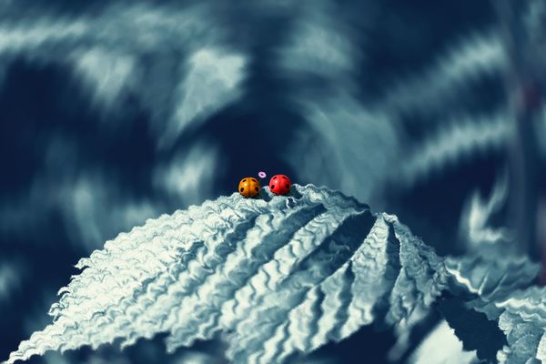 Together... thumbnail