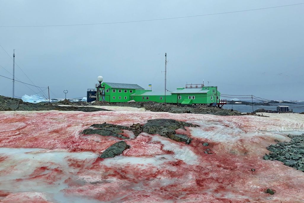 Red snow outside the Vernadsky Research Base
