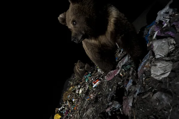 Selfie at Supper thumbnail