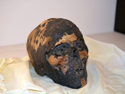 The repatriated mummy skull