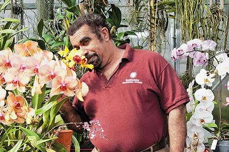 Tom Mirenda helps maintain the nearly 8,000 orchids in the Smithsonian's collection.