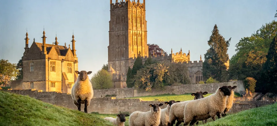  Sheep outside Chipping Camden with cathedral in the distance 