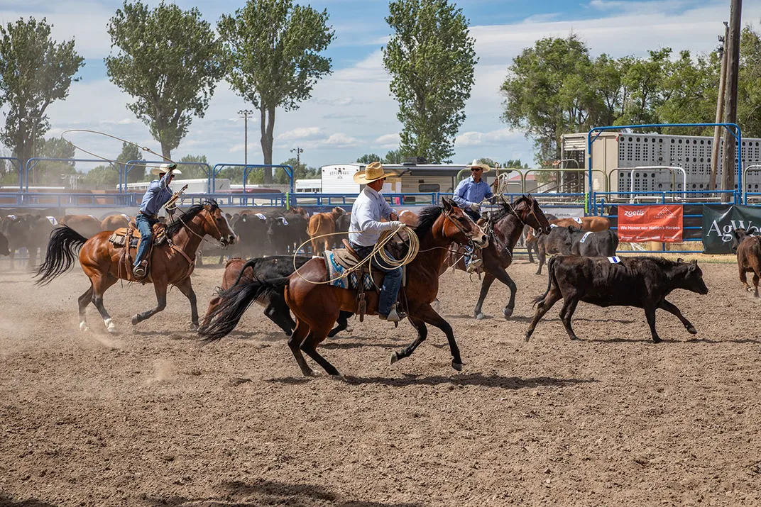Several people ride on horseback in a dirt field, alongside a bull.