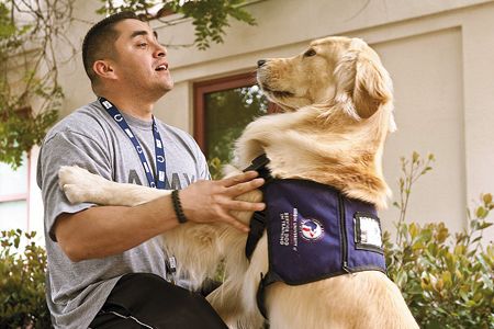Robert Soliz, a 31-year-old former Army Specialist, participates in Paws for Purple Hearts, one of four experimental programs nationwide that pair veterans afflicted by PTSD with Labrador and golden retrievers.