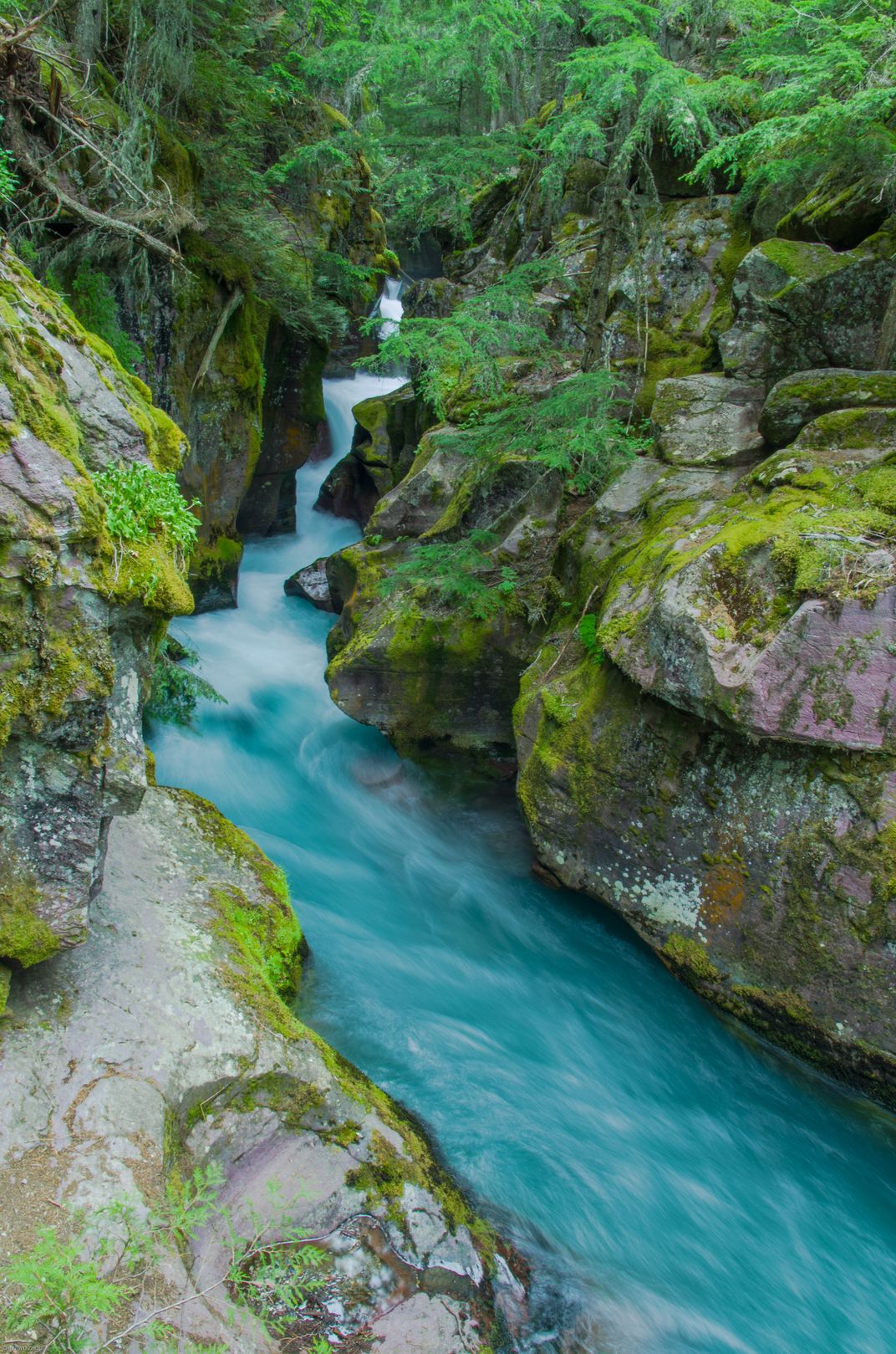 Avalanche Creek Glacier Turquoise Smithsonian Photo Contest 