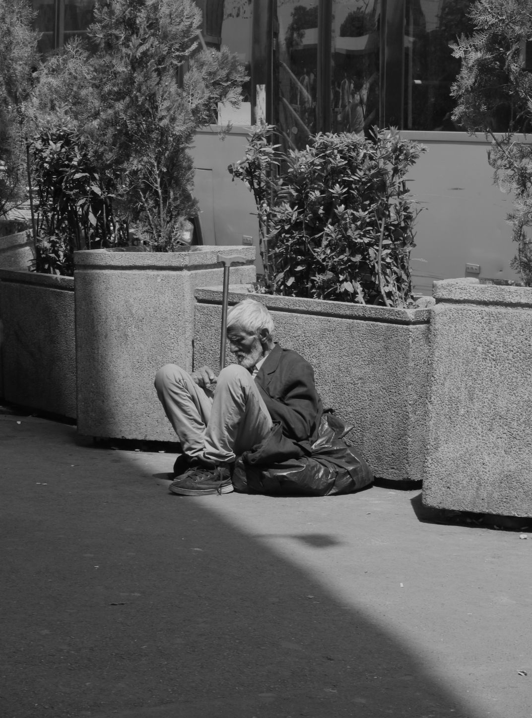 Homeless man resting in sun | Smithsonian Photo Contest | Smithsonian ...