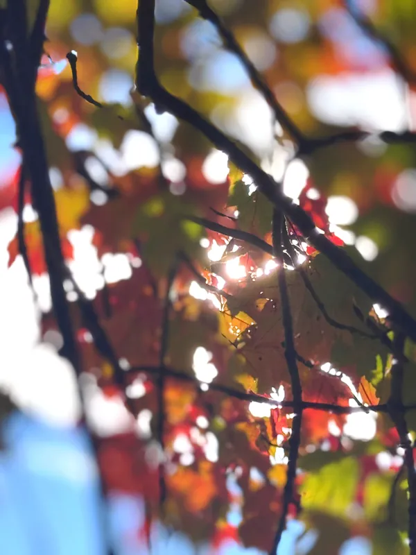 Walk with dad thumbnail