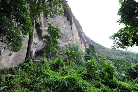 Exterior view of the entrance of Fa-Hien Lena cave in Sri Lanka, where archaeological evidence suggests humans lived about 45,000 years ago. 