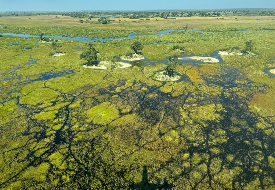 Landscape of the Okavango Delta, Botswana