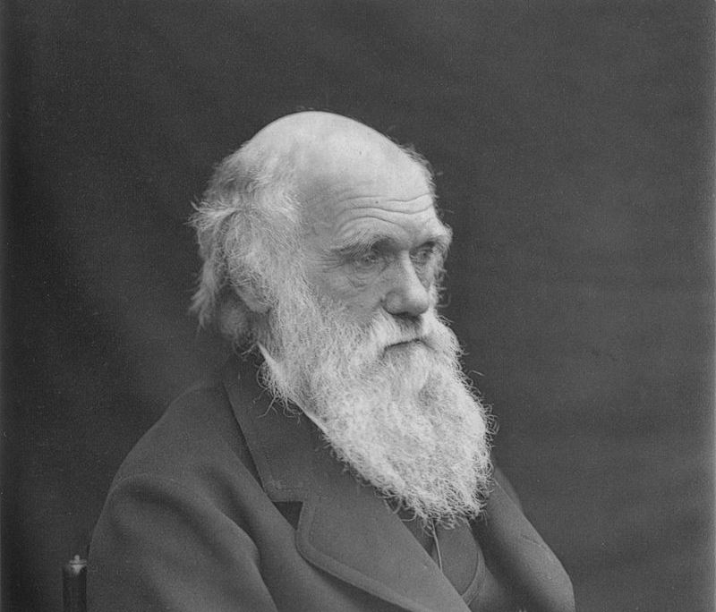 800px-1878_Darwin_photo_by_Leonard_from_Woodall_1884_-_cropped_grayed_partially_cleaned.jpg