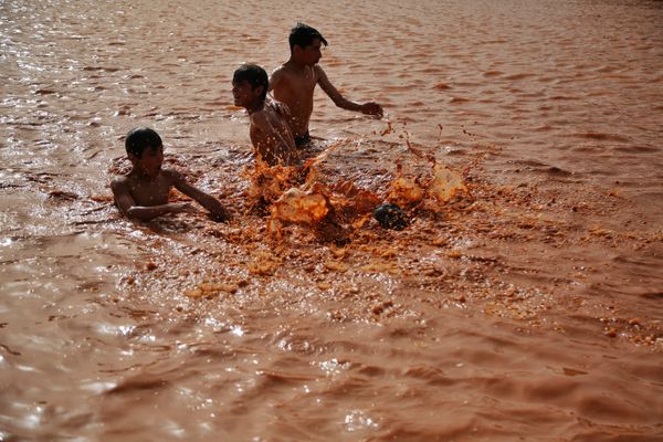 swimming in muddy water thumbnail