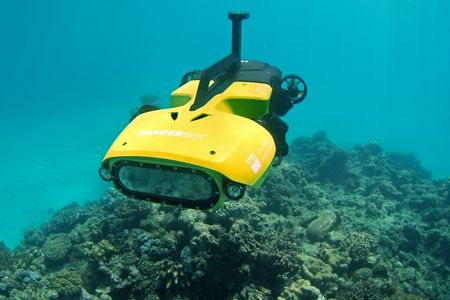 RangerBot is an autonomous underwater vehicle designed to identify and kill crown-of-thorns starfish by lethal injection.