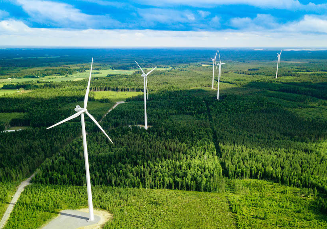 Wind turbines in a forest