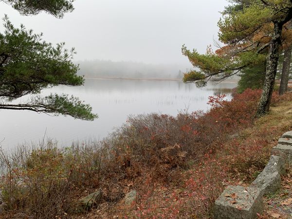 Mist over pond in Acadia National Park thumbnail