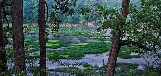 Cahaba River