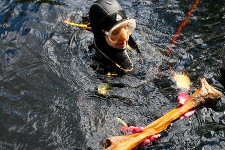 Neil Puckett, a Texas A&M University graduate student, surfaces with the limb bone of a juvenile mastodon.