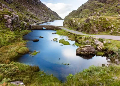 irish-walks-an-active-journey