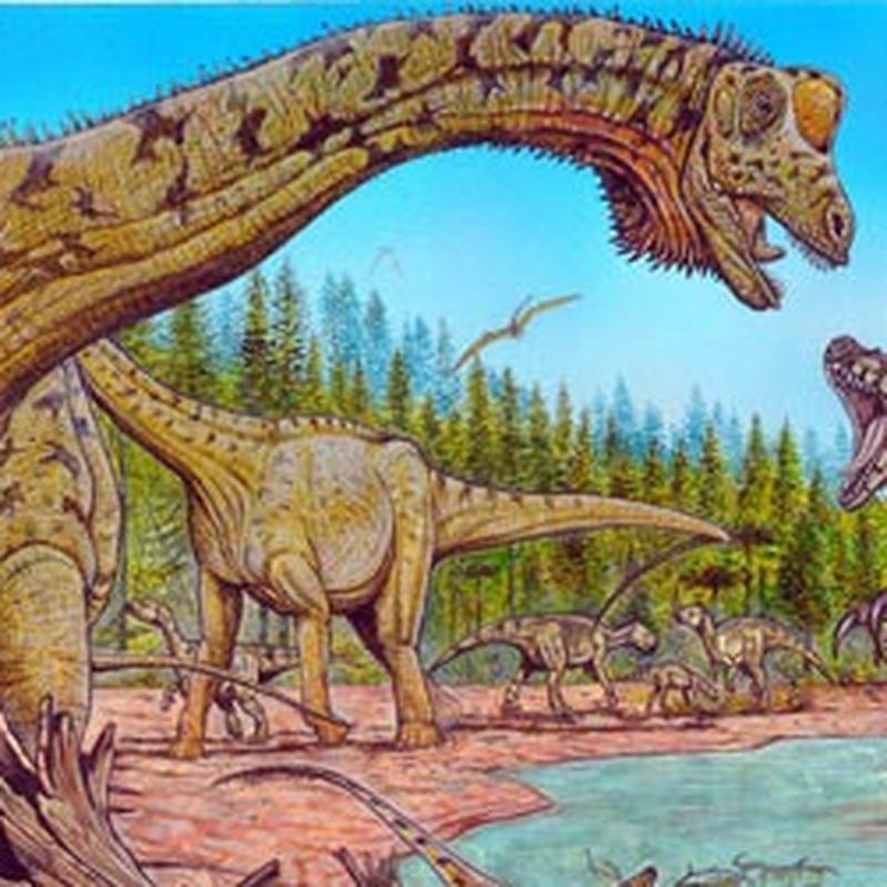 File:Futalognkosaurus Size Comparison.svg - Wikipedia