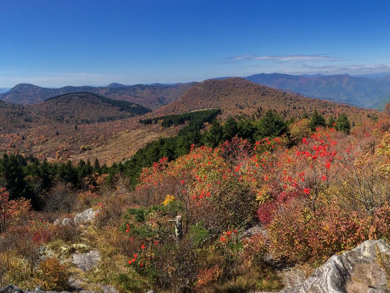 Pisgah National Forest in Autumn Smithsonian Photo Contest