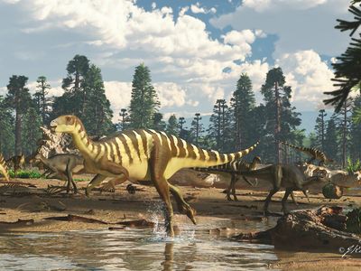 Artist's impression of a Galleonosaurus dorisae herd on a riverbank in the Australian-Antarctic rift valley during the Early Cretaceous, 125 million years ago. 

