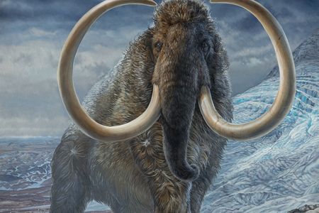 An adult male woolly mammoth navigates a mountain pass 17,100 years ago.