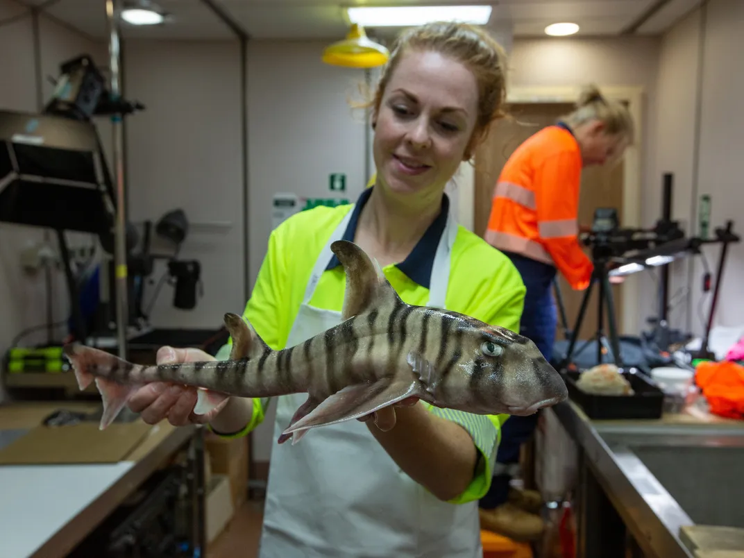 a woman holds a long striped brown and tan fish