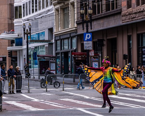 A human butterfly in the San Francisco Pride Parade thumbnail