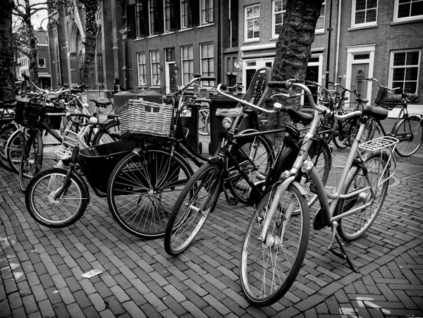 Bicyles Parked in Delft thumbnail
