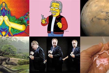 The most popular stories of the year.