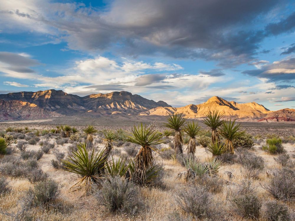 Nevada Mountains